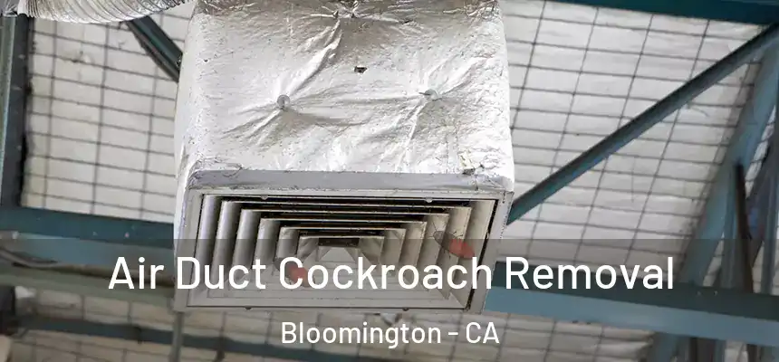  Air Duct Cockroach Removal Bloomington - CA