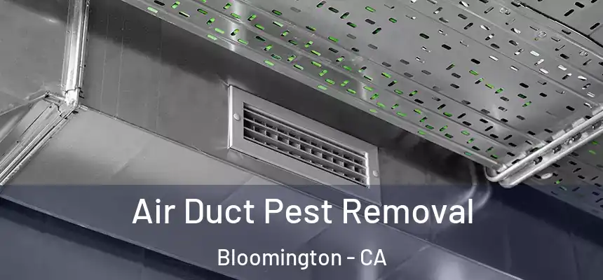  Air Duct Pest Removal Bloomington - CA