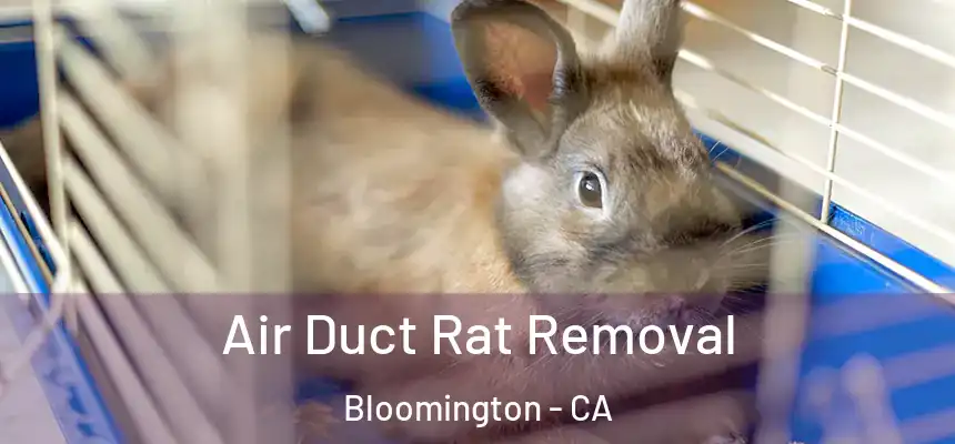 Air Duct Rat Removal Bloomington - CA