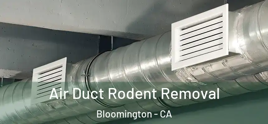 Air Duct Rodent Removal Bloomington - CA