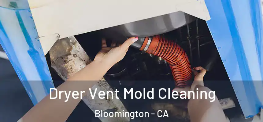  Dryer Vent Mold Cleaning Bloomington - CA