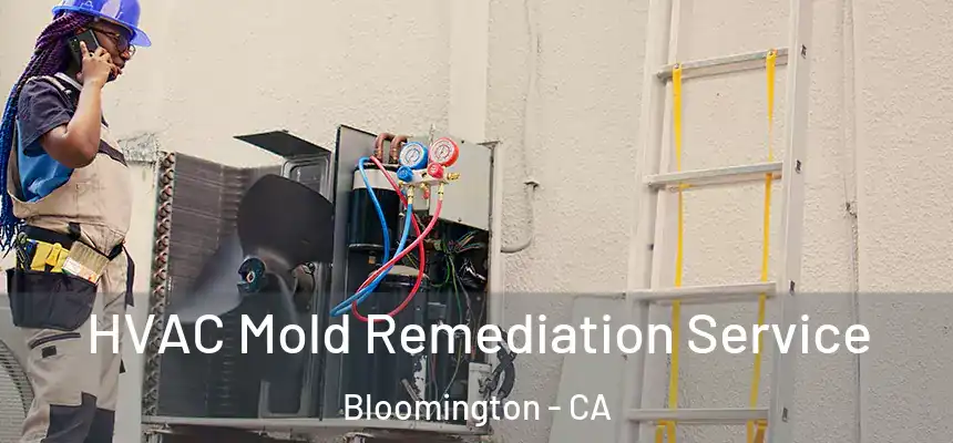  HVAC Mold Remediation Service Bloomington - CA