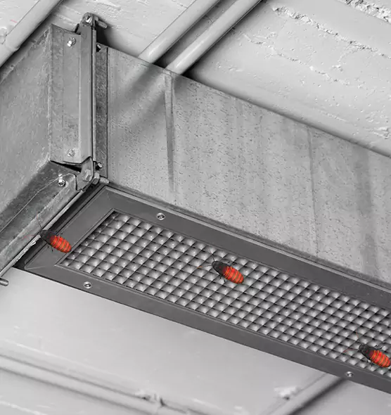 About Air Duct Cockroach Removal in Bloomington, CA