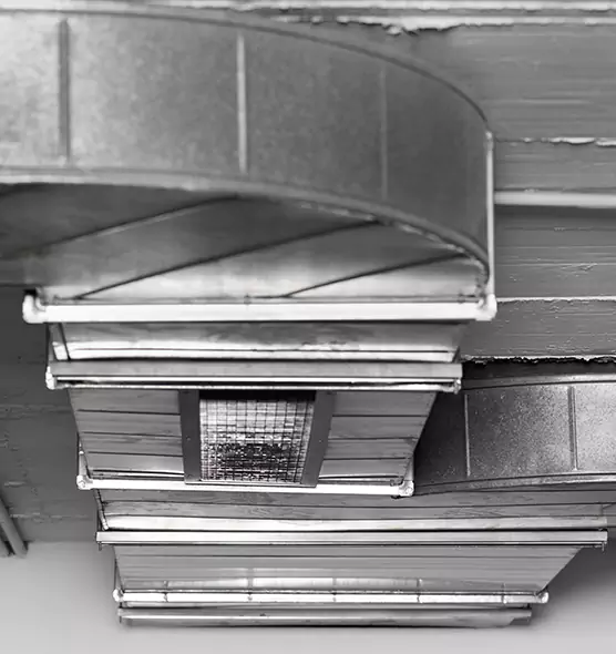 Professional Air Duct Pet Hair Removal in Bloomington, CA