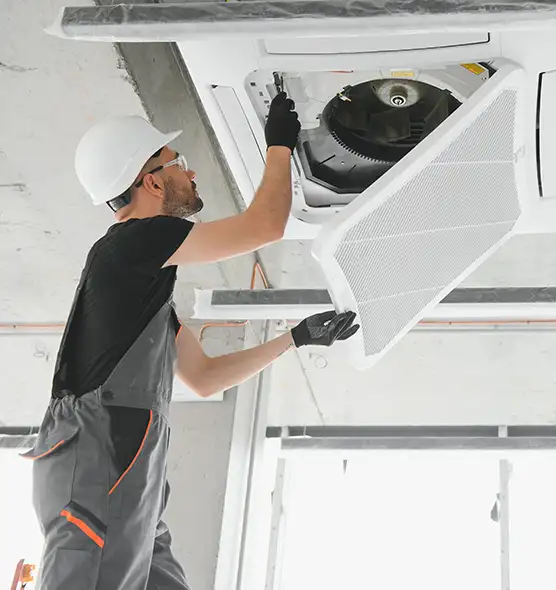 About Air Duct Rodent Removal in Bloomington, CA