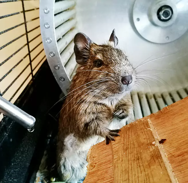 Why Homeowners & Businesses Trust Us Bloomington, CA